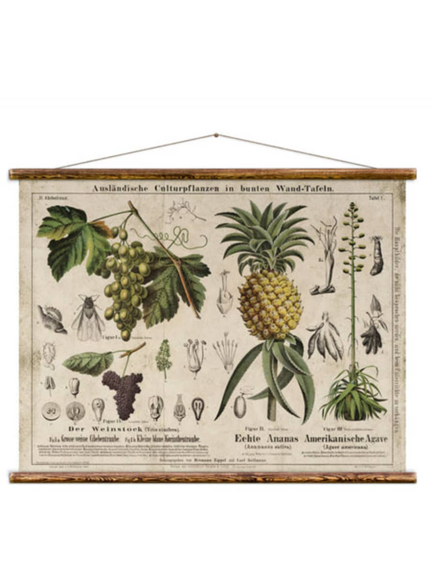 Erstwhile Wall Hanging Wine And Pineapple