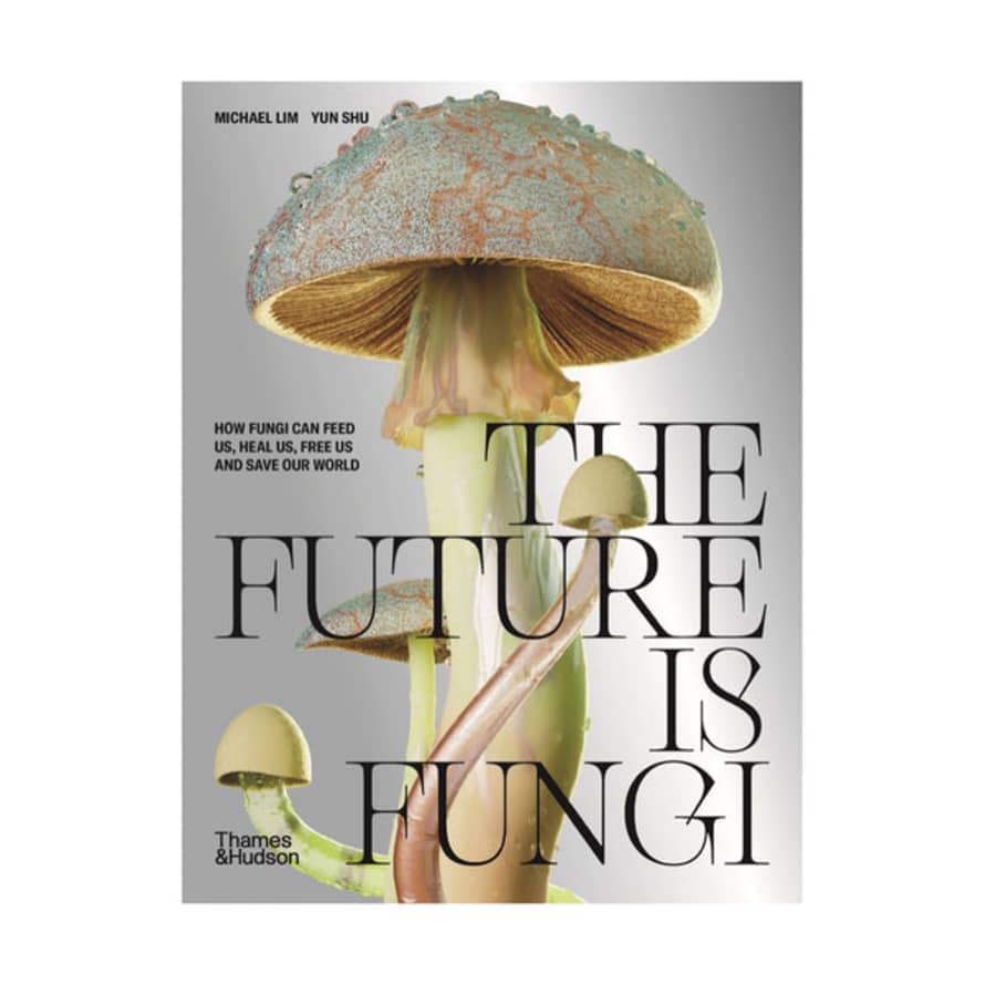 Bless Stories The Future Is Fungi I How Fungi Can Feed Us, Heal Us, Free Us And Save Our World