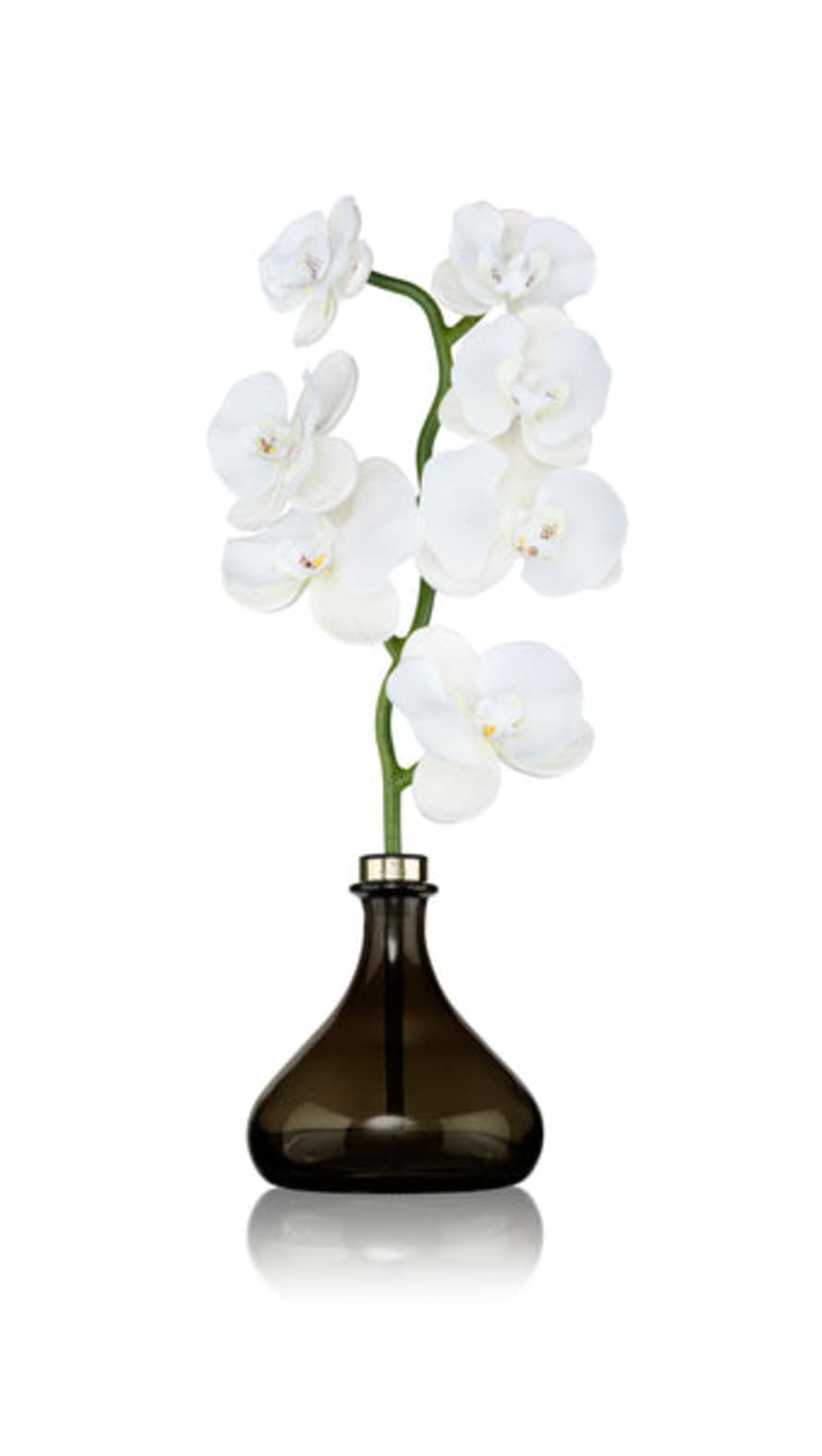 Senti White Flowers Orchid Diffuser