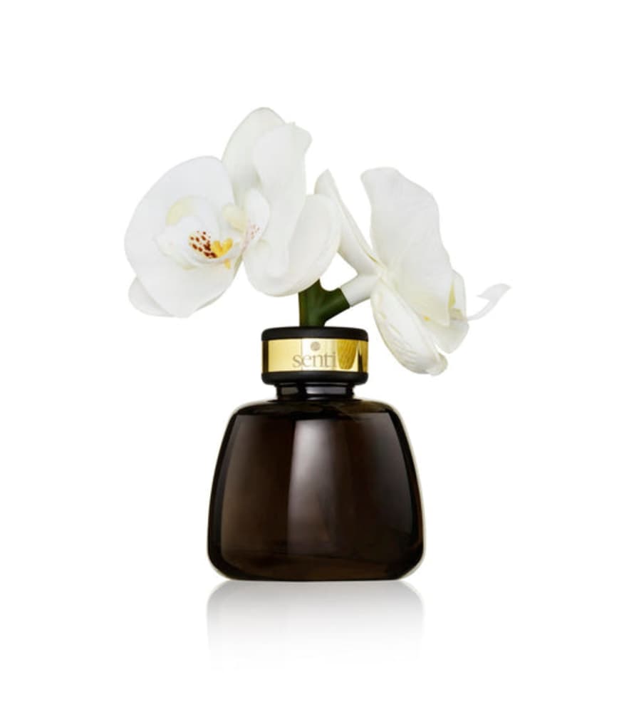 Senti Amber & Oud Little Orchid Diffuser