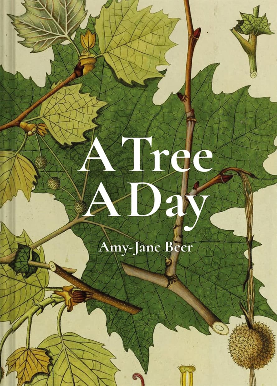  Batsford Ltd A Tree A Day Book