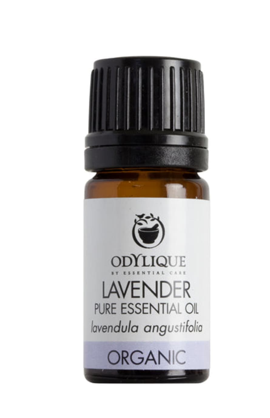 Odylique Organic Lavender Essential Oil - 5ml
