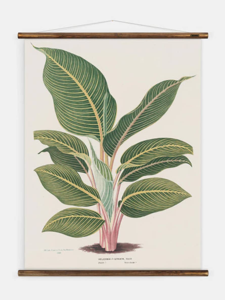 Erstwhile Wall Hanging Heliconia