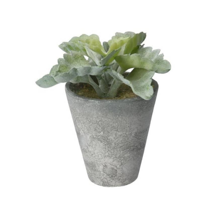 Persora Artificial Echevaria Succulent Pot