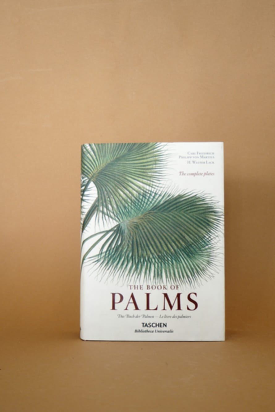 New Mags The Book Of Palms