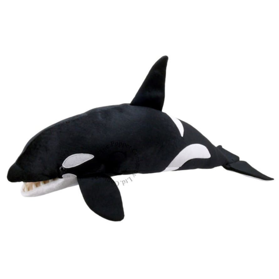 The Puppet Company - Orca Whale - Large Creatures