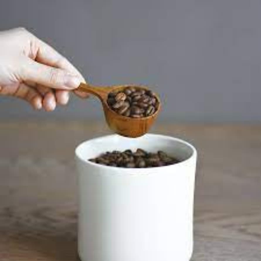 Kinto - Scs Coffee Measuring Spoon