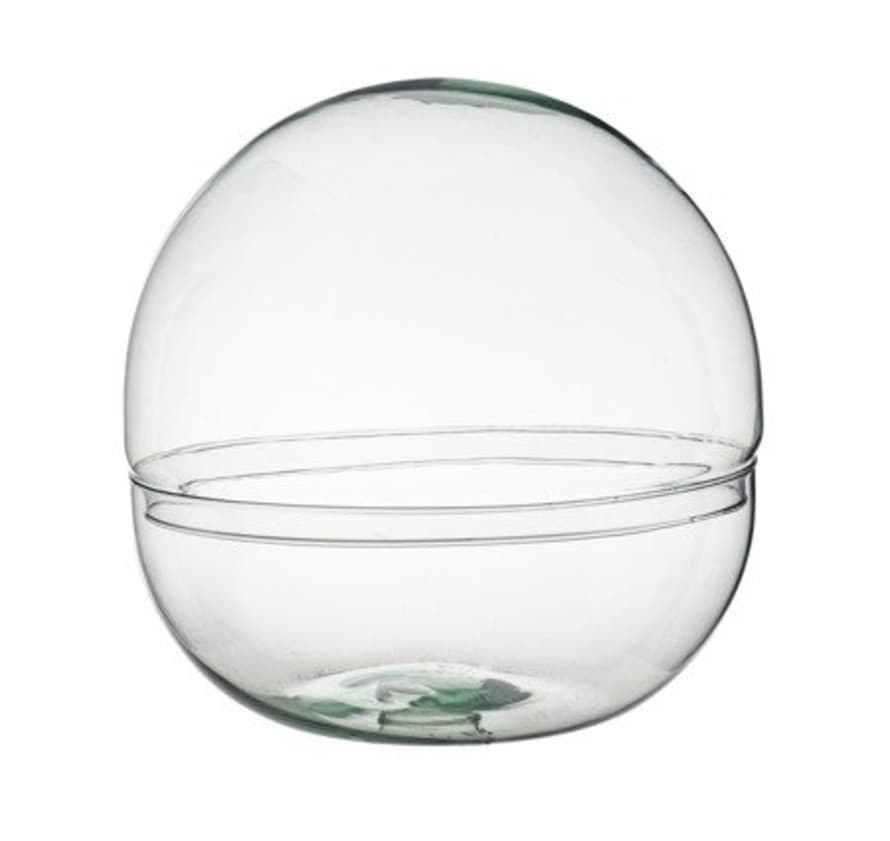 botanicalboysuk Terrarium Globe Jar Medium H19.5cm X D19.5cm