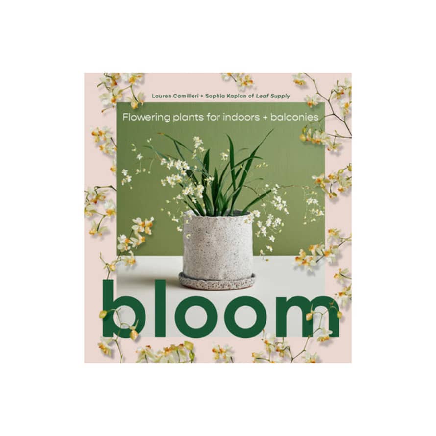Smith Street Books Bloom: Flowering Plants For Indoors + Balconies