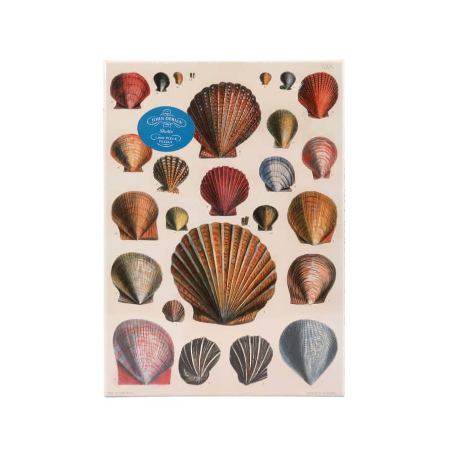Artisan Shells - John Derian - 1000 Piece Puzzle