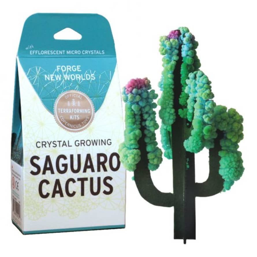 Copernicus Crystal Growing Saguaro Cactus