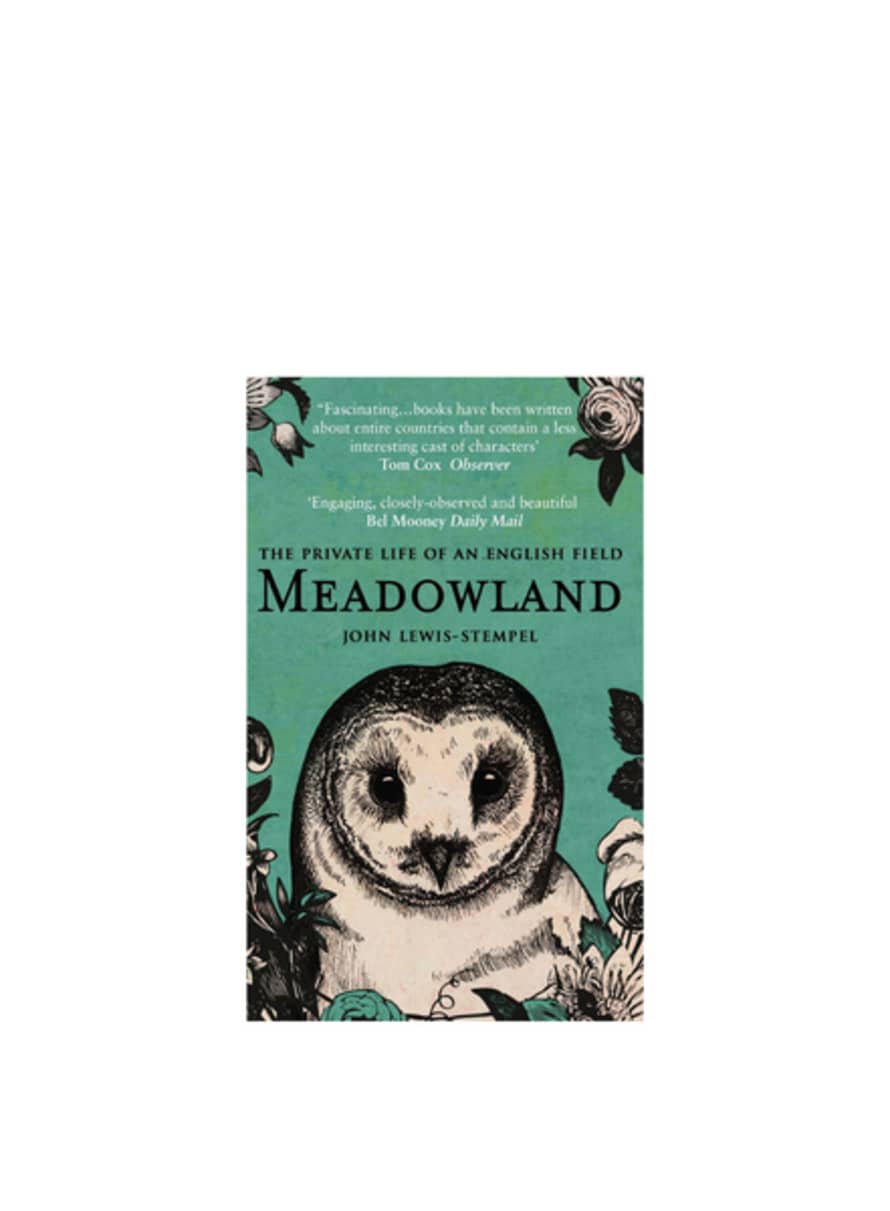 Books Meadowland