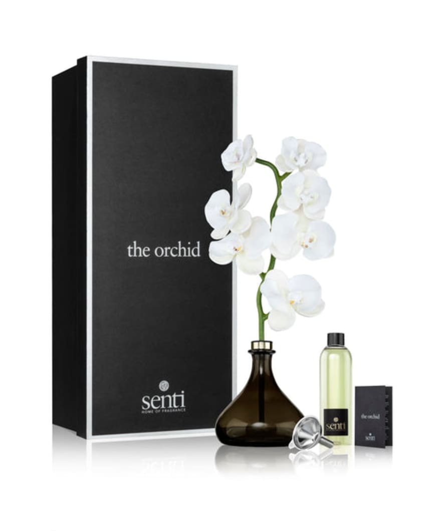 Senti 250ml Amber and Oud Orchid Diffuser 