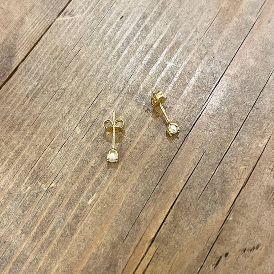 TUSKcollection Pl 168 Pl Gold Tiny Pearl Studs