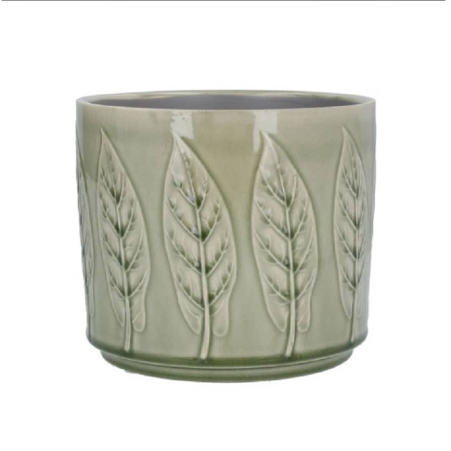 Gisela Graham Sage Bay Leaf Stoneware Pot Cover, Medium
