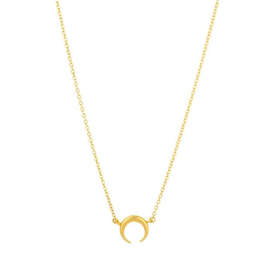 Ashiana Fortuna Gold Horn Necklace