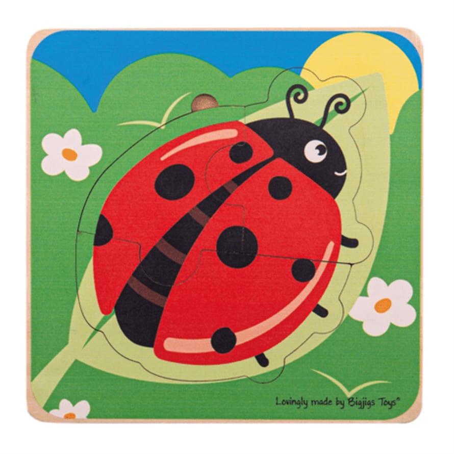 Ladybug Lifecycle Layer Puzzle