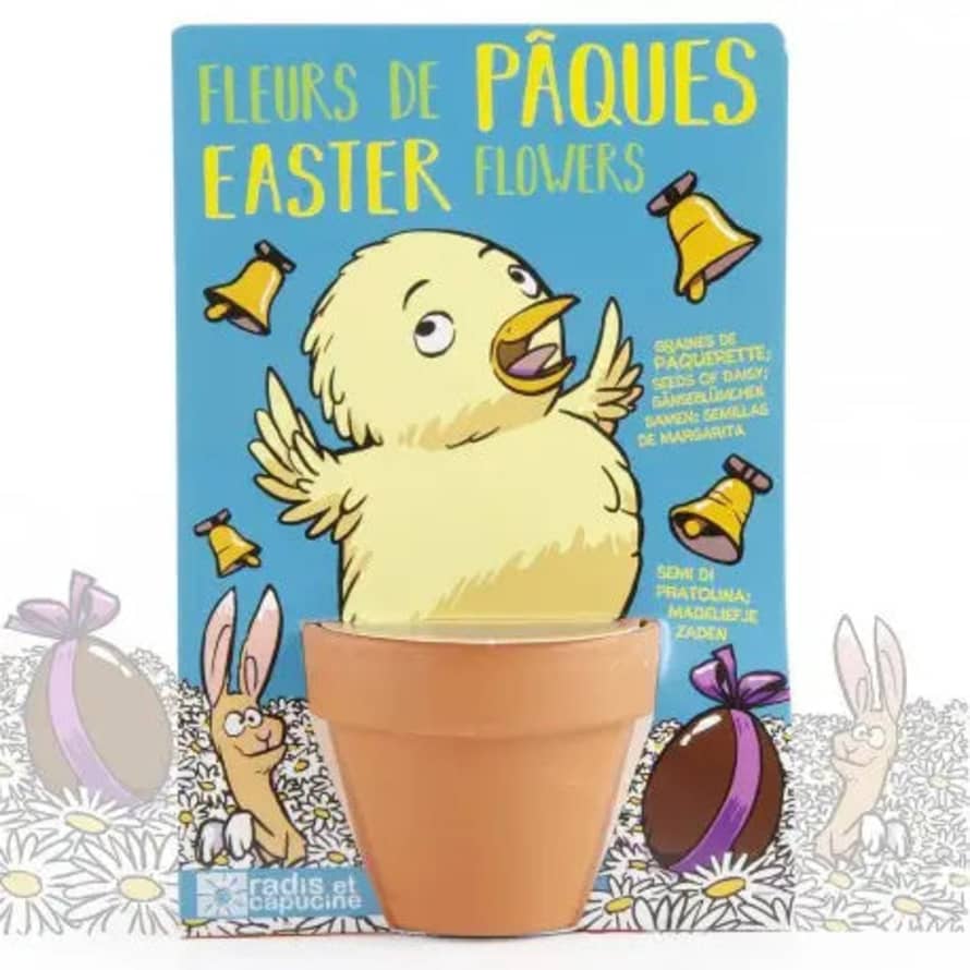 Radis et Capucine Easter Chick And Her Daisies To Sow