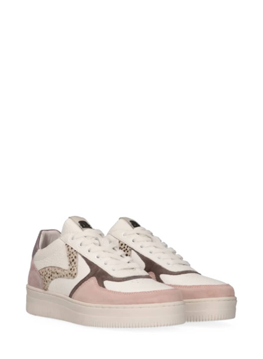 Maruti  Momo Leather Trainers In Pink/white/lilac Pixel