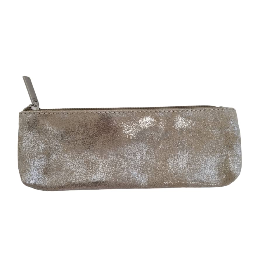 Posh Totty Designs Silver metallic leather make-up case