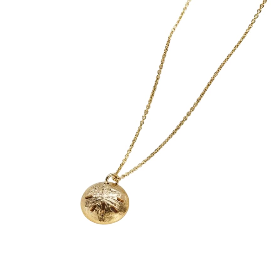Posh Totty Designs 18ct Gold Plated Curved Sand Dollar Necklace