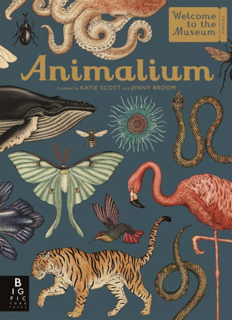 Templar Publishing Animalium Book by Jenny Broom and Katie Scott
