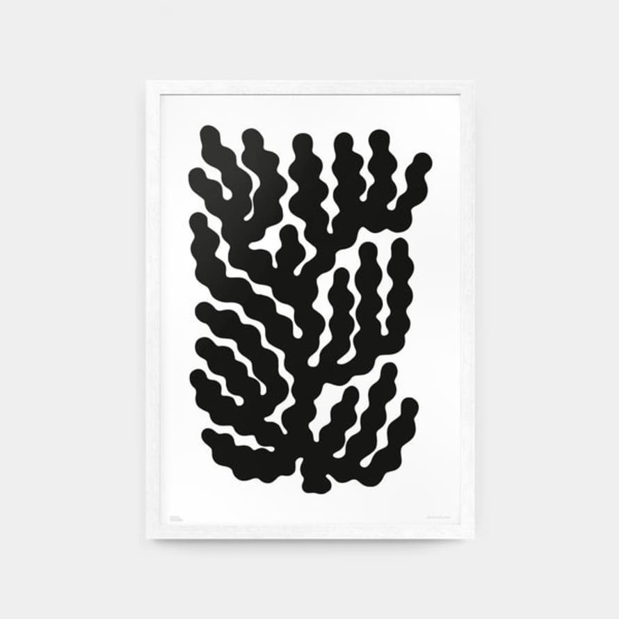 Nico De Caro A3 Black Coral 009 Print