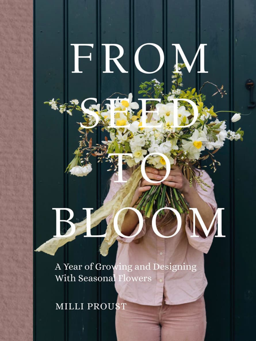 Bookspeed From Seed To Bloom