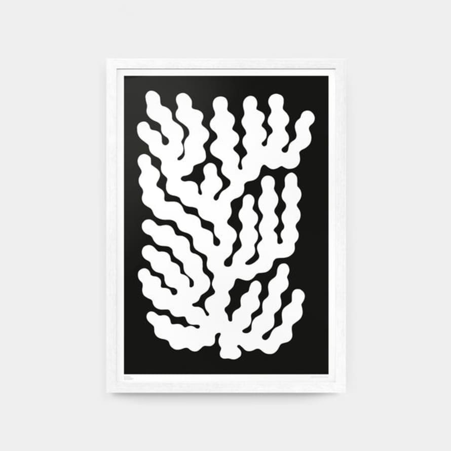 Nico De Caro A3 Coral #009 White Print