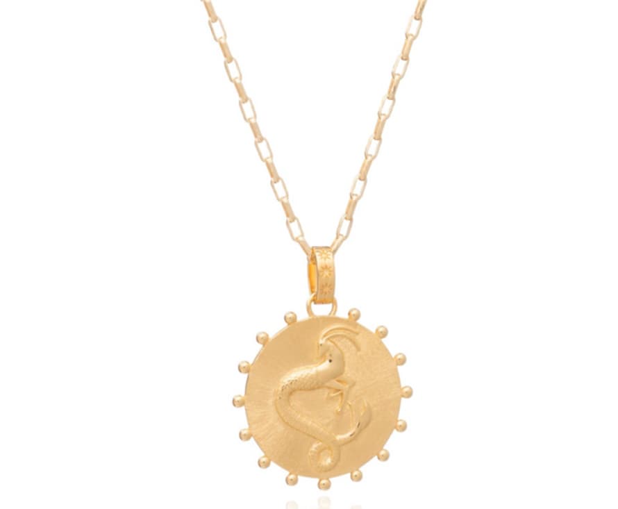 Rachel Jackson Jewellery Gold Capricorn Statement Zodiac Art Coin Necklace 