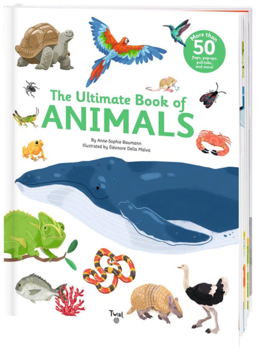 Beldi Maison The Ultimate Book Of Animals