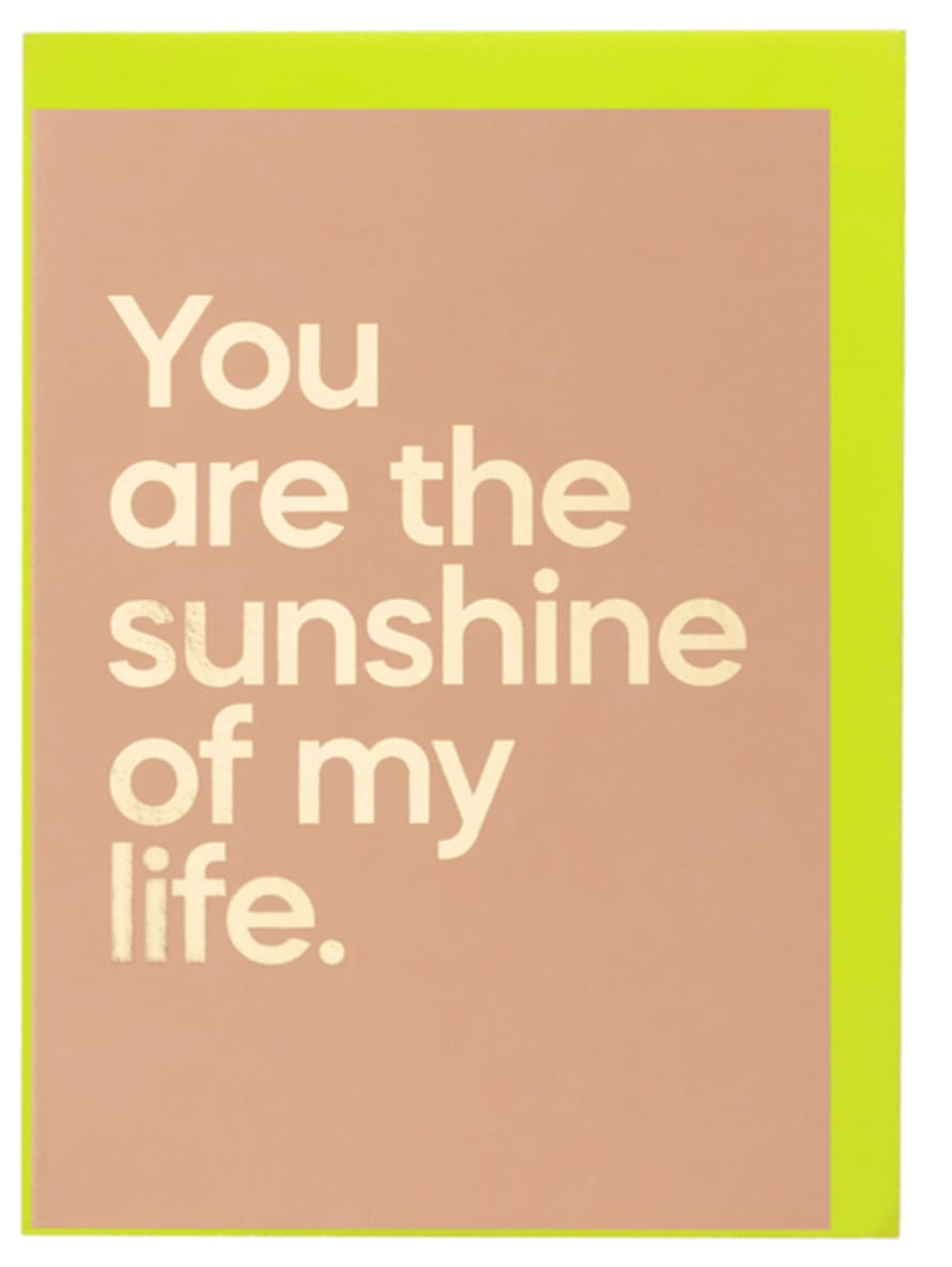 Say It With Songs You Are The Sunshine of My Life By Stevie Wonder Fawn Greeting Card