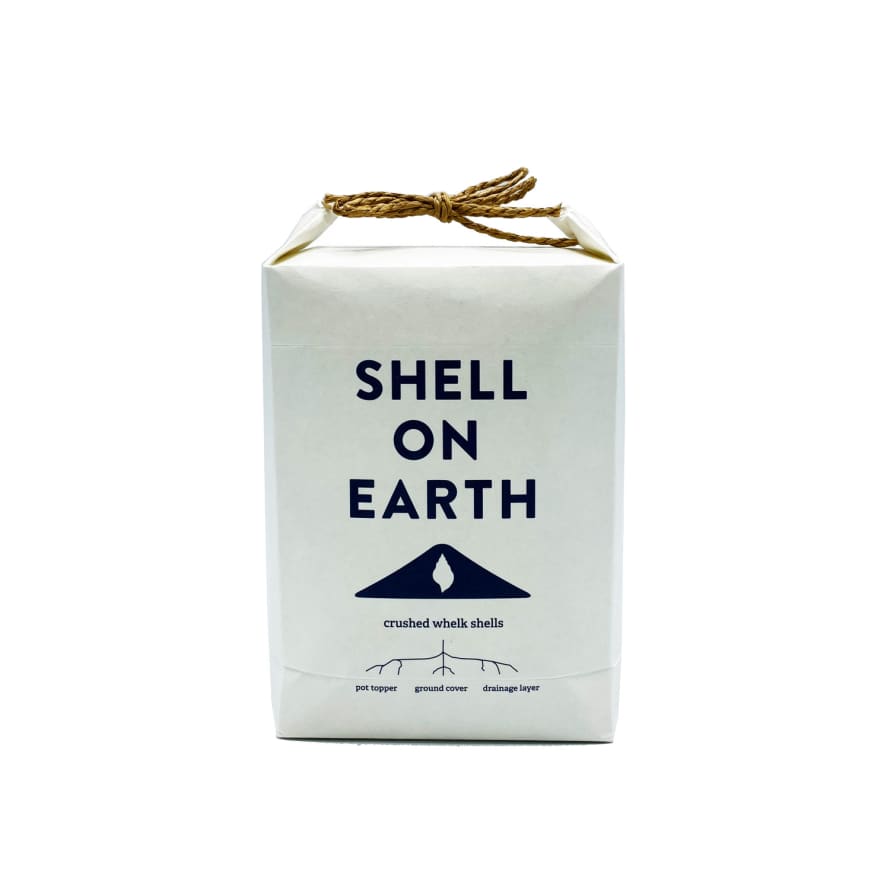 Shell on Earth Crushed Whelk Shells - Mini Bag