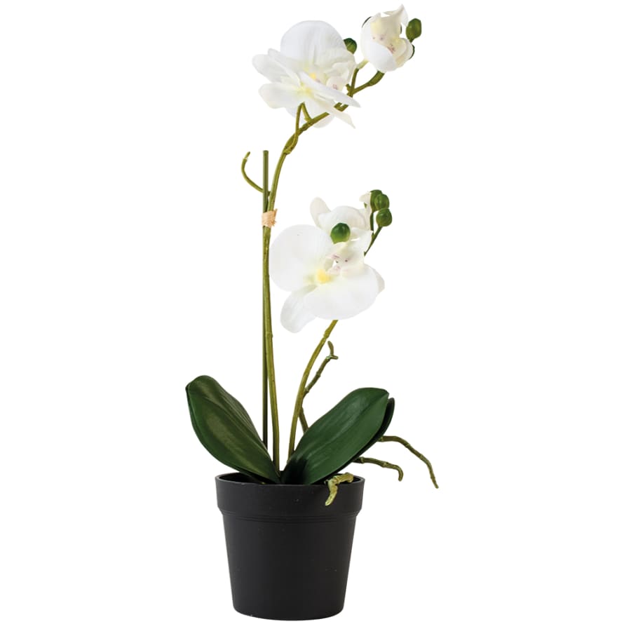 Grand Illusions White Decorative Faux Orchid Flowers 