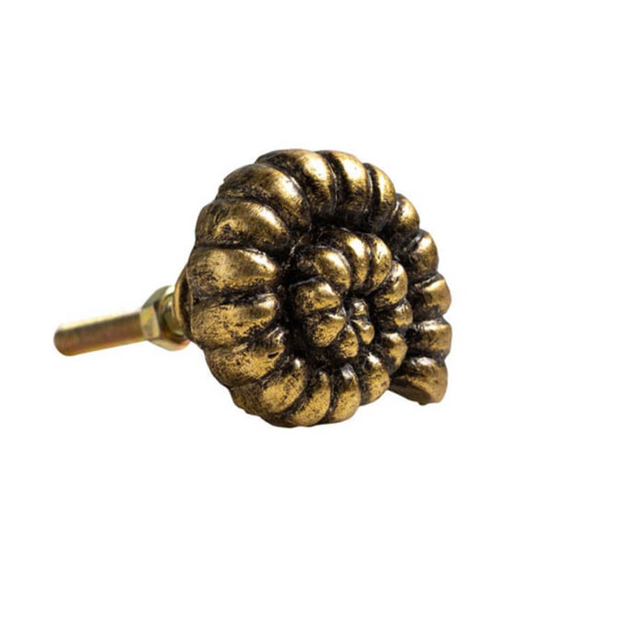 Distinctly Living Golden Ammonite Cabinet Knob
