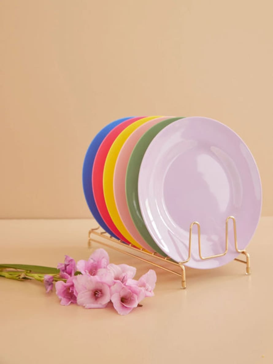 rice Melamine Dinner Plates In Assorted Colours - Set Of 6