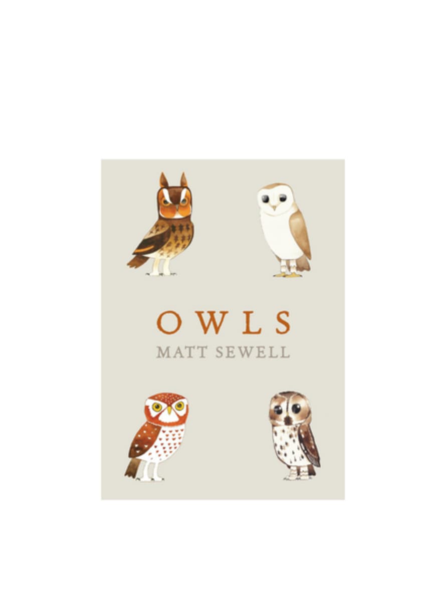 Books Owls: A Guide To The Worlds Favourite Bird