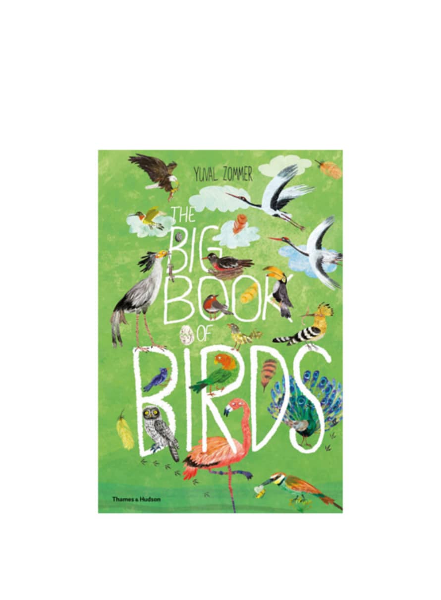 Books Big Book Of Birds