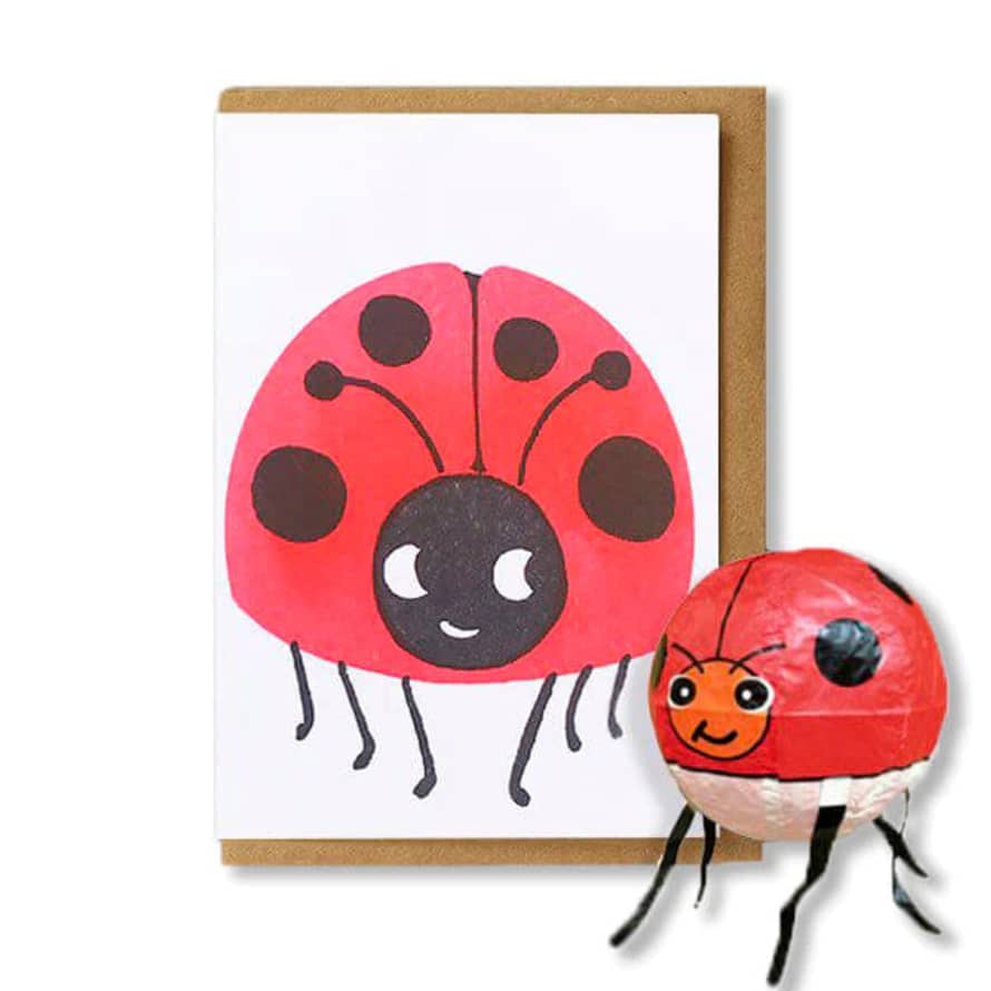 Petra Boase Japanese Paper Balloon Card - Ladybird