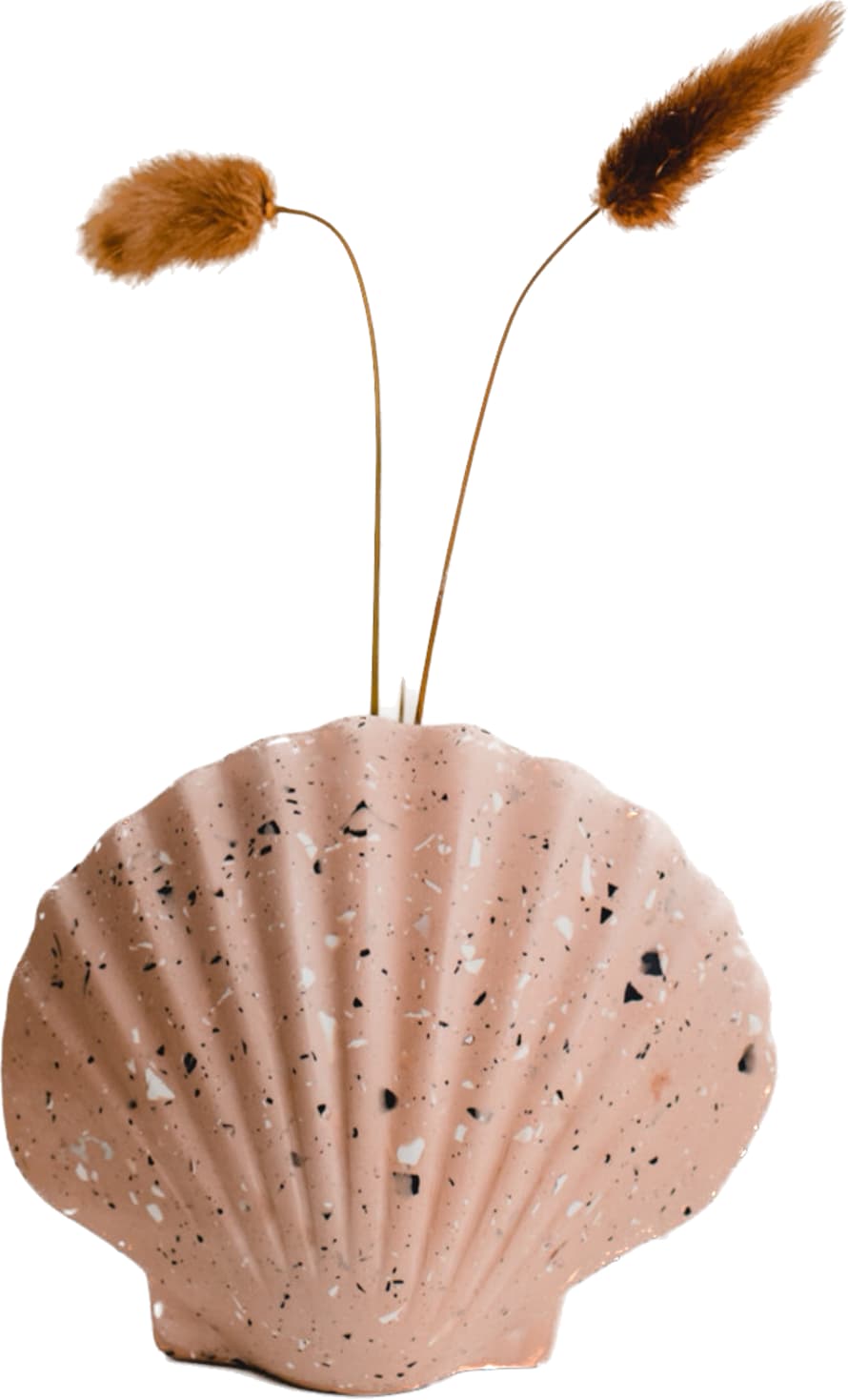 Badger & Birch Scallop Shell Vase - Pale Terracotta Terrazzo