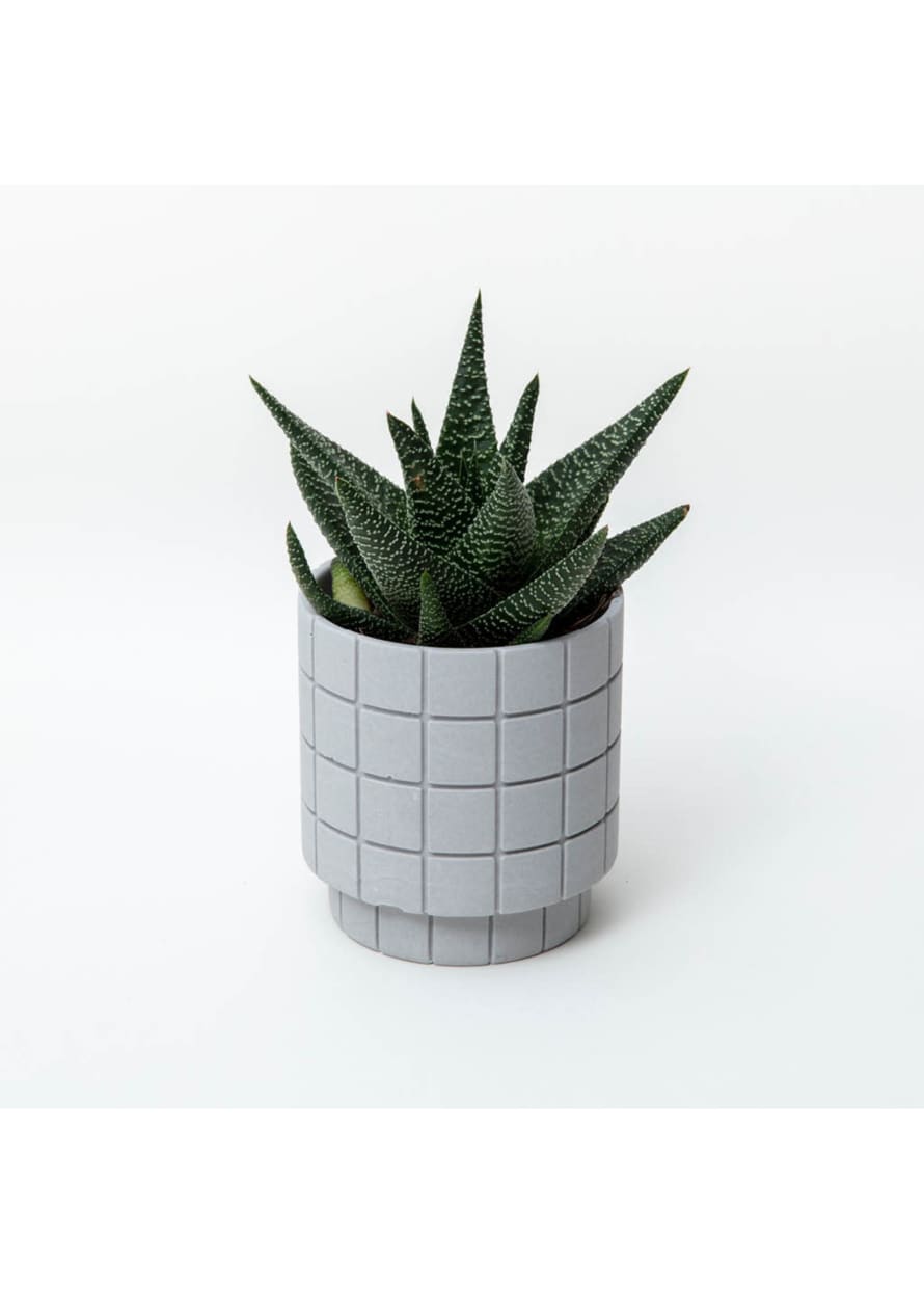 Block Design Tile Plant Pot - Ash Grey