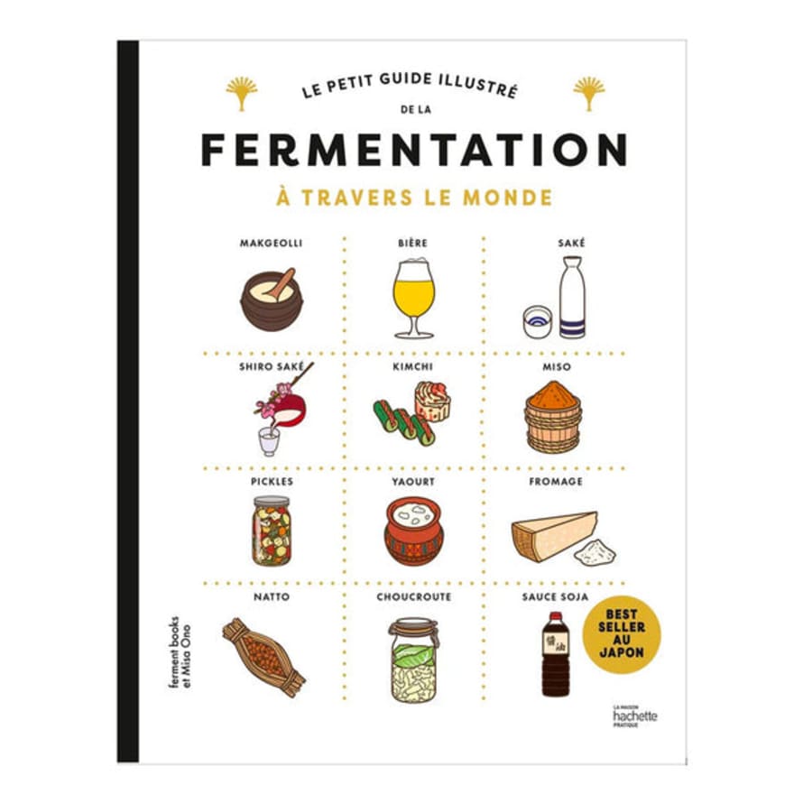 Hachette Pratique Livre Le Petit Guide Illustré De La Fermentation