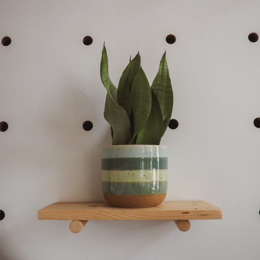 Hi Cacti Medium Glazed Green Striped Ceramic Pot (No Plant)