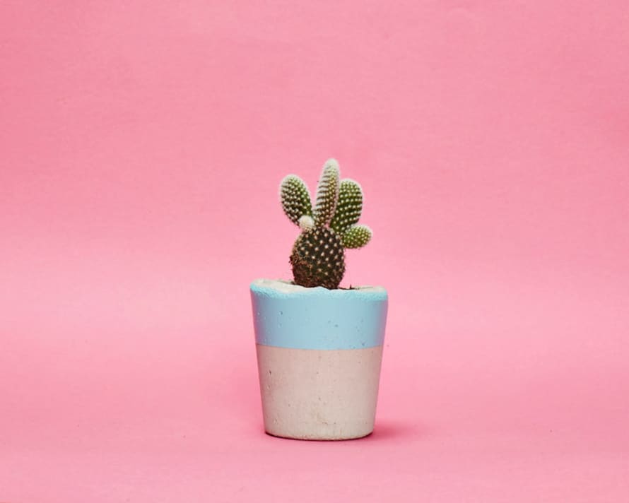 Hi Cacti Small Concrete Block Painted Top Pot (No Plant)