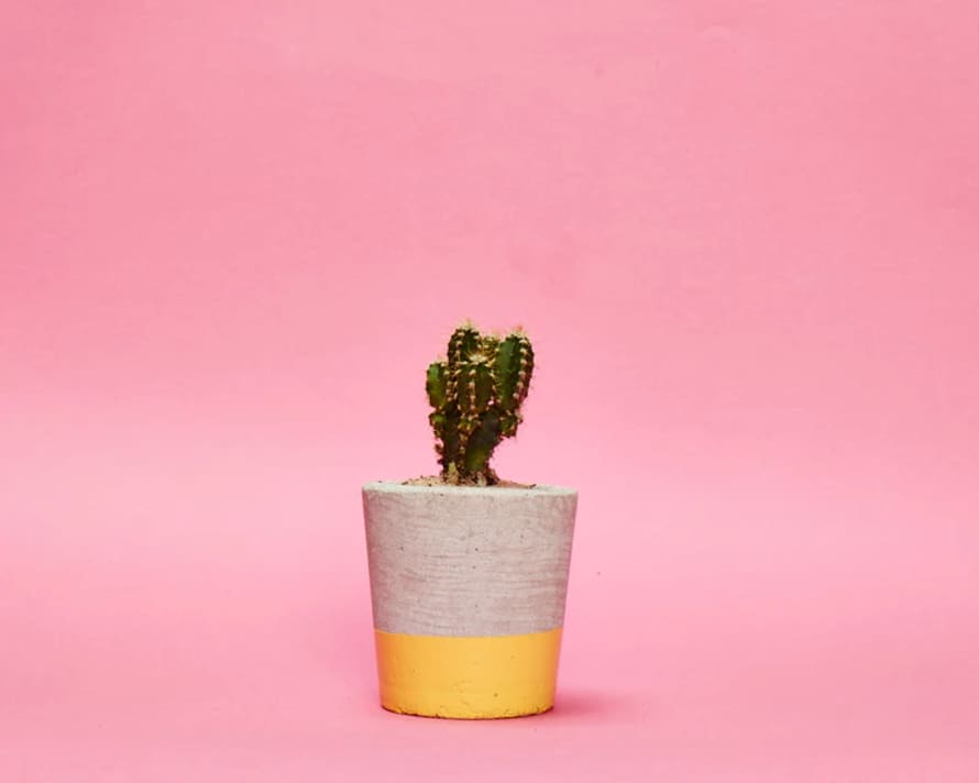 Hi Cacti Small Concrete Block Painted Bottom Pot (No Plant)