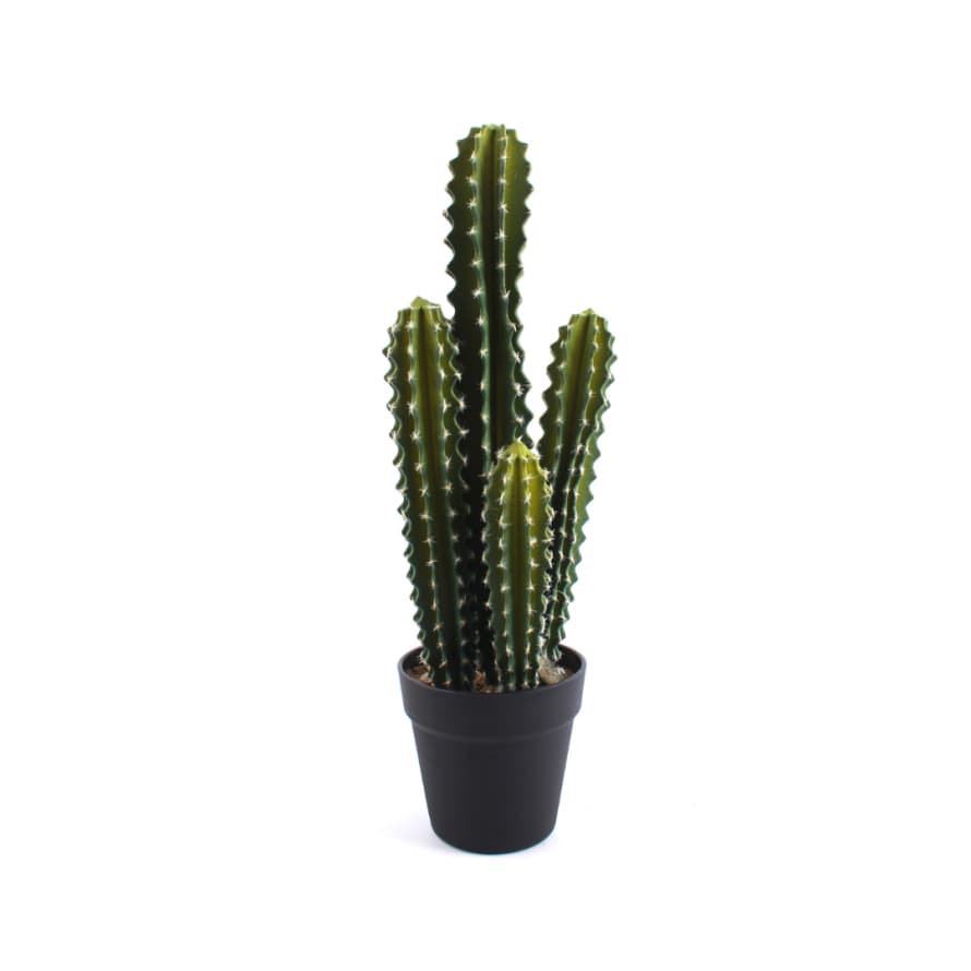 Temerity Jones Faux Cactus In Pot