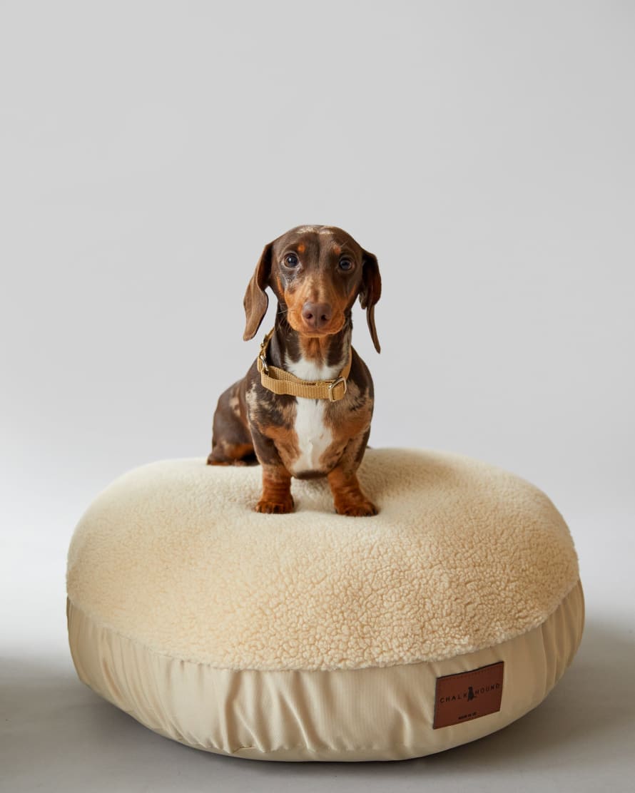 Chalk UK Biffy Round Dog Bed