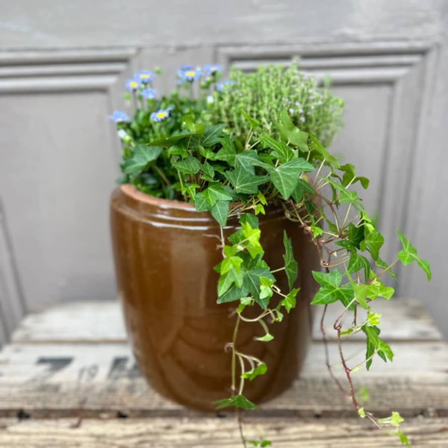 Catkin & Pussywillow Large Summer Planter
