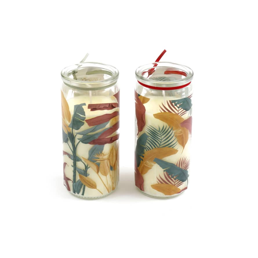 Temerity Jones Tropical Palm Candle Tube Pot : Red or Green