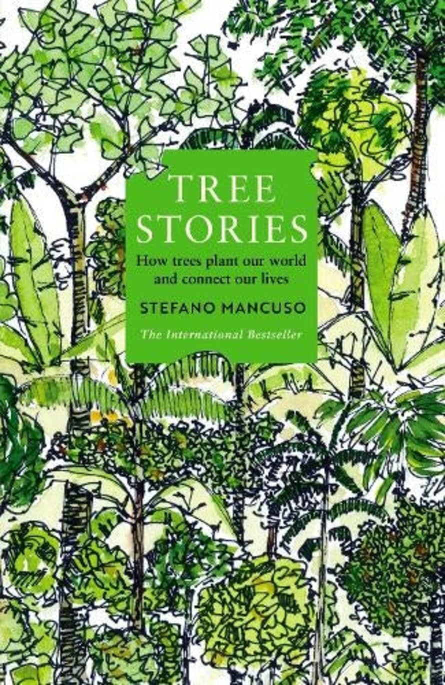 The Bless Project Tree Stories